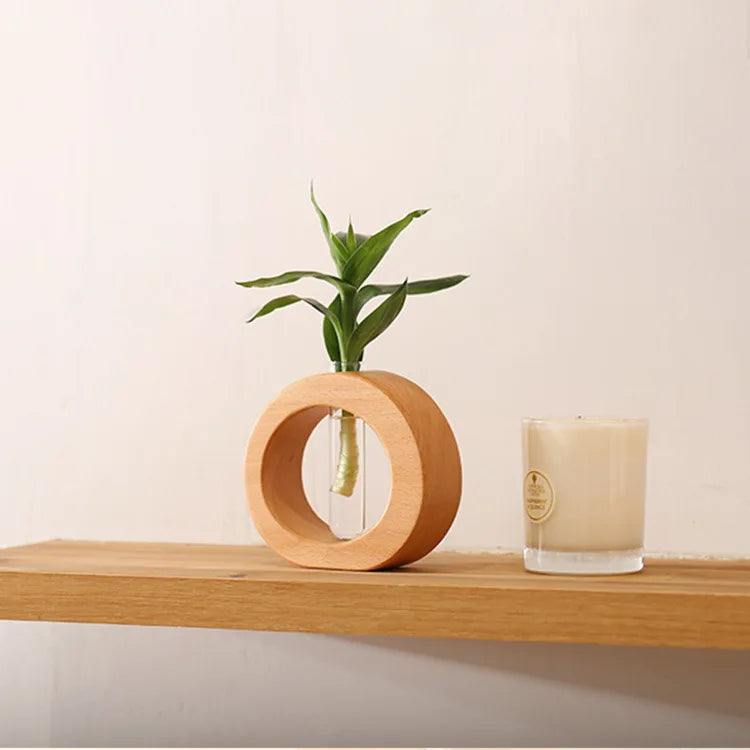 Hana – Wooden Glass Terrarium